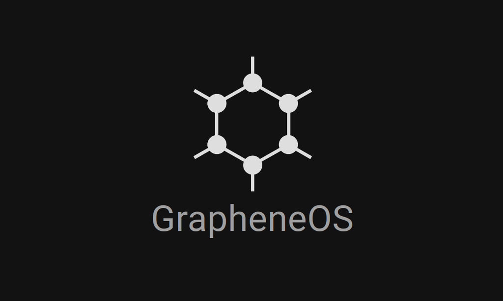 FreiheitsHandy Pixel 9-googlefrei, schwarz obsidian, grapheneOS